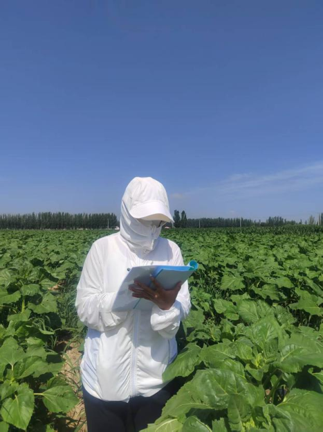 鄂爾多斯市人民政府推動(dòng)農(nóng)業(yè)科學(xué)研究和試驗(yàn)發(fā)展的戰(zhàn)略與實(shí)踐