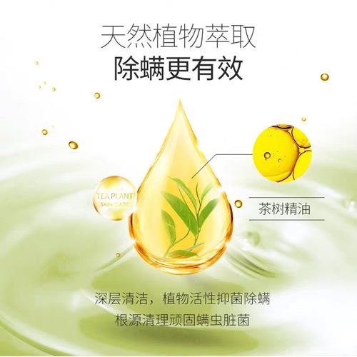 朵拉朵尚小綠皂 植物精華去除螨蟲，守護肌膚清爽無痘